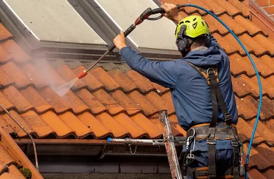 Démoussage et hydrofuge de toiture à Moustey